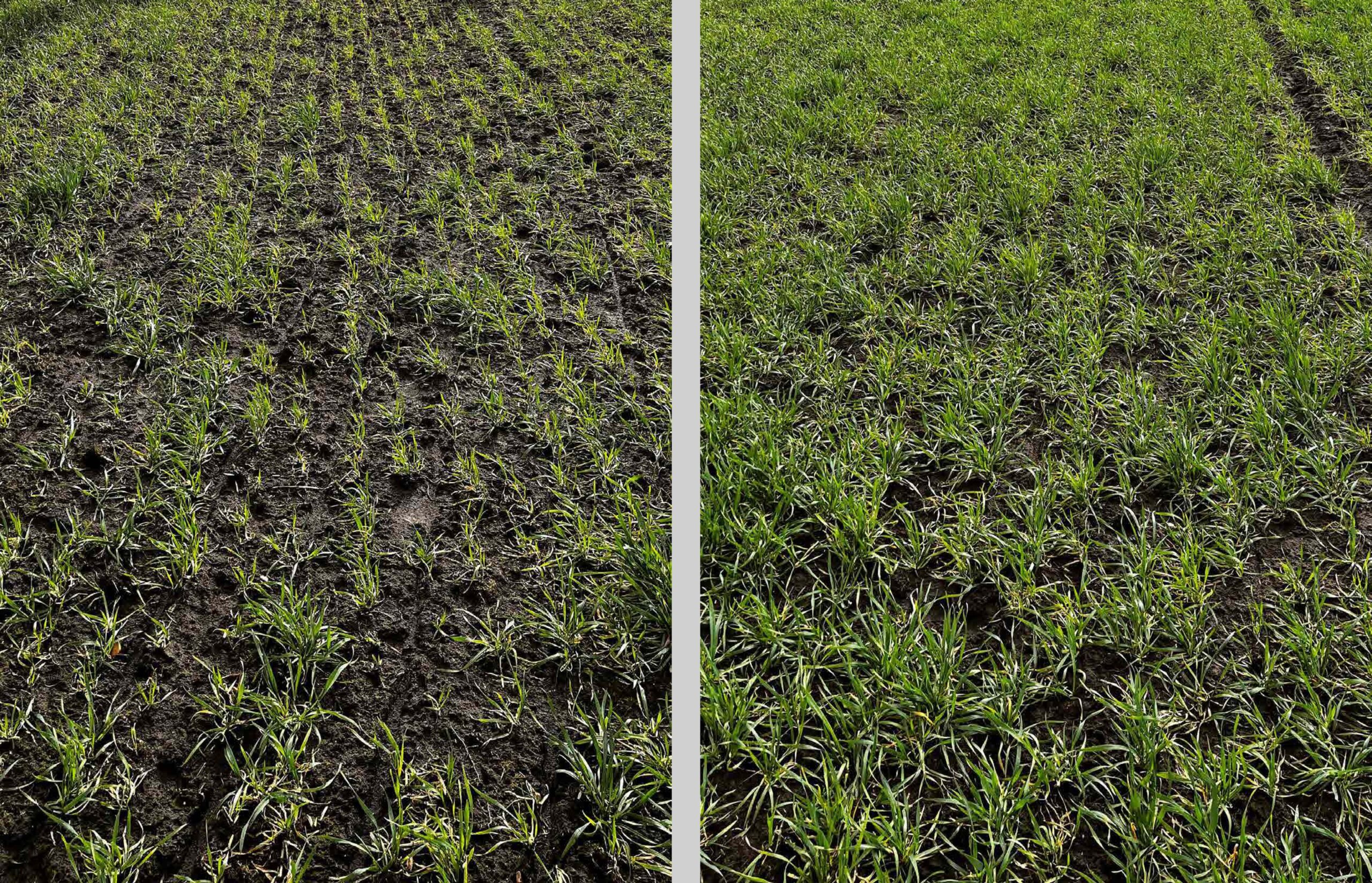 Rendement augmenté de 30-40%